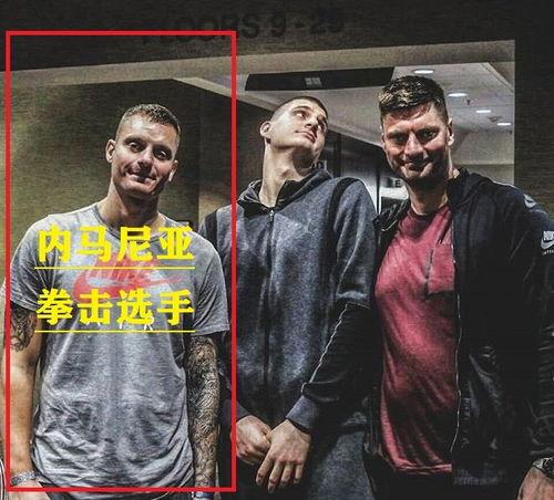 奇哥的爆料视频在线观看,精彩瞬间与幕后故事大盘点