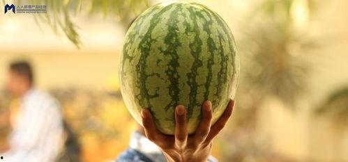 娱乐圈大瓜吃瓜,揭秘明星背后的惊人真相